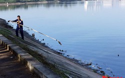 Cá chết hồ Linh Đàm: Cơ quan chức năng vào cuộc tìm nguyên nhân