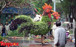 12 con giáp “khủng” xuất hiện ở công viên Thống Nhất