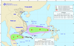 Chuẩn bị APEC, đối phó với cả ATNĐ và bão