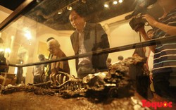 Khách du lịch quốc tế “mắt tròn mắt dẹt” với “Báu vật khảo cổ học” Việt Nam
