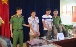 Lào Cai: Phá thành công chuyên án bắt giữ 2 đối tượng vận chuyển 4 chiếc sừng tê giác