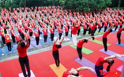 Hơn 500 người đồng diễn Yoga