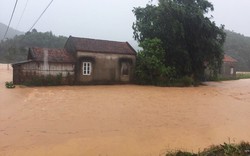 Quảng Ninh: Cận cảnh dòng nước lũ cuồn cuộn dâng cao tại Ba Chẽ