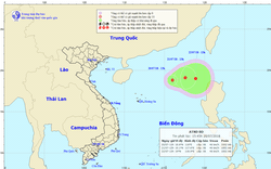 Bão số 3 vừa qua, Biển Đông tiếp tục xuất hiện áp thấp nhiệt đới