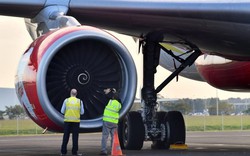AirAsia hạ cánh khẩn khi chim đâm hỏng động cơ