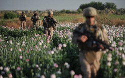 Nga tiềm ẩn sức mạnh giúp Mỹ đột phá chiến trường Afghanistan