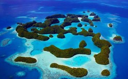 Tên lửa Triều Tiên rình rập: Mỹ đưa kèo nhà cái w88 tới gần Guam?