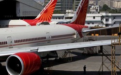 Hàng không Ấn Độ đột ngột hoãn bay 10 tiếng vì chuột