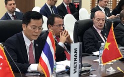 Việt Nam tích cực tham gia khuôn khổ hợp tác Đông Á - Mỹ Latinh