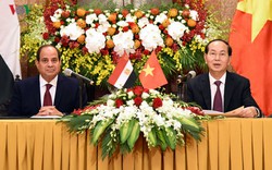 Nhiều dấu ấn quan trọng trong chuyến thăm của Tổng thống Ai Cập tới Việt Nam