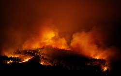Chủ tịch nước Trần Đại Quang chia buồn cháy rừng Bồ Đào Nha