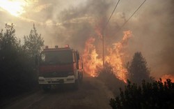 Chủ tịch nước chia buồn vụ cháy rừng nghiêm trọng tại Hy Lạp