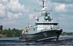 Nga có thể xuất khẩu tàu hộ vệ mang tên lửa Kalibr cho Việt Nam