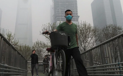 Ô nhiễm không khí tác động nguy hại tới trí thông minh