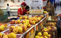 Tại sao giá táo nhập khẩu tại siêu thị bán rẻ như cho?