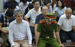 Các luật sư nỗ lực “cứu” Nguyễn Xuân Sơn 