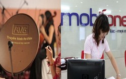 Thanh tra vụ MobiFone mua 95% AVG diễn ra trong bao lâu?