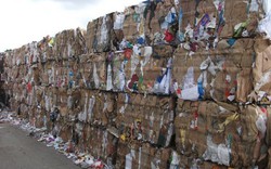 Trung Quốc siết chặt kiểm soát ô nhiễm: Doanh nghiệp kéo nhau sang Việt Nam tái chế bột giấy