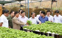 Mô hình hợp tác xã kiểu mới: “Cầu nối” giữa nông dân với thị trường 