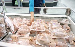 Người Việt ăn hơn 488 tấn thịt gà siêu rẻ mỗi ngày