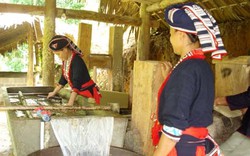 Công bố danh mục 8 di sản văn hóa phi vật thể quốc gia