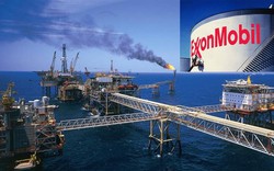 PetroVietnam cùng Exxon Mobil phối hợp đầu tư dự án mỏ khí Cá voi xanh