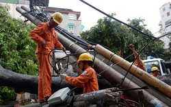 EVN Hà Nội khôi phục lưới điện sau bão