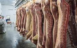 Nga sẽ xuất khẩu thịt lợn sang Việt Nam