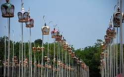 Lễ hội chim hót truyền thống tại Thái Lan