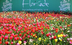 Tháng 10 đến với Lễ hội hoa Floriade