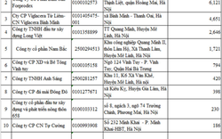 Hà Nội tiếp tục công khai nhiều “đại gia” nợ thuế đợt 11