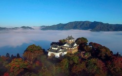 Lâu đài Echizen Ono trên mây chỉ được ngắm 10 lần trong 1 năm