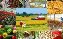 15 tiêu chí giám sát, đánh giá về cơ cấu lại ngành nông nghiệp