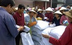 Hỗ trợ gạo cho Phú Yên