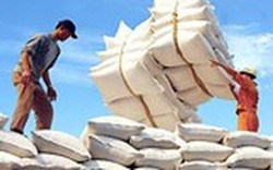 9 đơn vị được gia hạn xuất khẩu gạo 