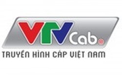 Kéo dài thời gian bán cổ phần của VTVcab