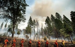 Mỹ đóng cửa Công viên quốc gia Yosemite vì cháy rừng