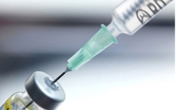 Bộ Y tế khẳng định Vaccine phòng dại tại Việt Nam an toàn