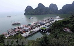 Quảng Ninh cấm tàu du lịch từ ngày 16/9 để ứng phó siêu bão Mangkhut