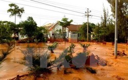 Làm rõ các sai phạm trong sự cố vỡ hồ chứa tại Bình Thuận: 