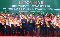 Thủ tướng dự lễ tôn vinh HTX, tổ hợp tác và nông dân tiêu biểu