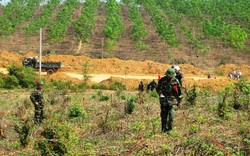 Phê duyệt văn kiện Dự án dò tìm, xử lý mìn tỉnh Quảng Nam 