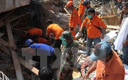 Lãnh đạo Việt Nam gửi điện thăm hỏi về vụ động đất ở Indonesia