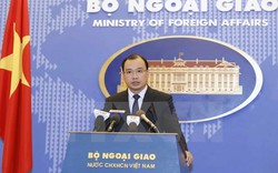 Việt Nam lên án mạnh mẽ vụ tấn công khiến Đại sứ Nga thiệt mạng