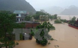 Hỗ trợ khắc phục ô nhiễm môi trường do mưa lũ tại Hà Tĩnh 