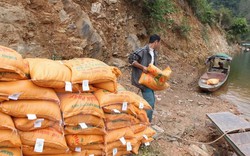 Hỗ trợ gần 1.700 tấn gạo cho nhân dân 2 tỉnh Quảng Bình, Sóc Trăng