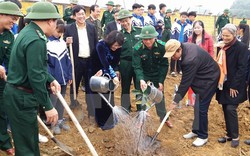 Phó Chủ tịch nước tham gia Tết trồng cây tại tỉnh Hòa Bình
