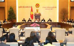 Thủ tướng phân công nội các chuẩn bị phiên họp Thường vụ Quốc hội