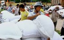 Hỗ trợ tỉnh Bình Định hơn 750 tấn gạo