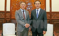 Chủ tịch nước Trần Đại Quang tiếp Phó Chủ tịch Tập đoàn Hyundai Motor 